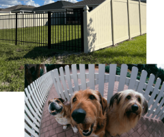 Enhance Your Property's Security and Style With a Double Gate Fence Design