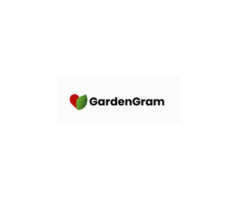 Litchi Plant - GardenGram - 1