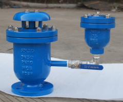 Combination Air Release Valve Manufacturer in USA - 1