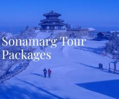sonmarg tour packages - 1