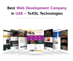 Top Ranked Web Development Company Sharjah | ToXSL Technologies