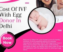 Cost Of IVF With Egg Donor In Delhi - 1