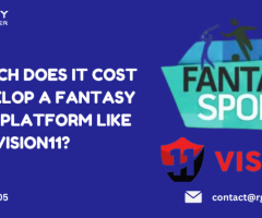 HOW MUCH DOES IT COST TO DEVELOP A FANTASY SPORTS PLATFORM LIKE VISION11?