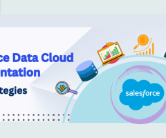 Ditch Data Headaches! FEXLE Manages Your Salesforce Data Cloud Implementation