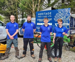Tree Surgeons in Killarney | Heritage Tree Care Ltd