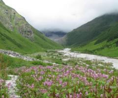 Valley of Flowers India National Park Trekking And Tourism Guide 2023 - 1