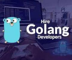 Top-notch Golang Development Services in Florida - 1