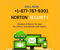 Norton Antivirus Technical support number - 1
