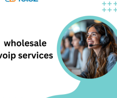 Enhancing Business Communications with Wholesale VoIP Solutions - 1