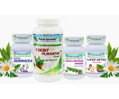Liver Care Pack - Ayurvedic Treatment for Liver - 1