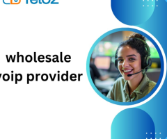Wholesale VoIP Providers: Bridging the Gap in Enterprise Communication
