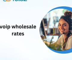 The Impact of Technology on VoIP Wholesale Rates