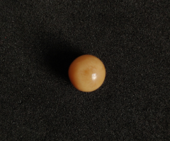 Natural Cassis Pearl 2.50 Ct-2.77 Ratti