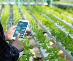 IoT in Agriculture: Cultivating Productivity with Smart Farming