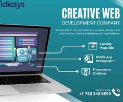 Website Development Company in USA - Idiosys USA