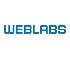 Web Development Company in India - Weblabs