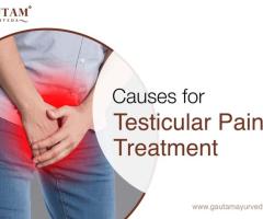 Testicular Pain Treatment in Gautam Ayurveda