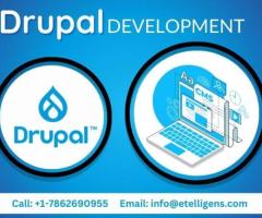Drupal Development Services for Completely Customised Web Applications