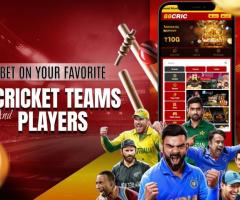 Bet on your favorite cricket teams and players with 88cric!