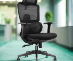 The Best Ergonomic Chair in India - CELLBELL