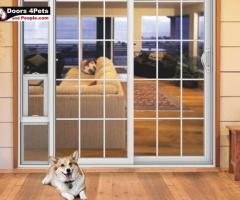 Upgrade Your Space with French Doors Equipped with Doggie Doors