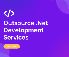 Top-Notch C# .NET Web Development Services