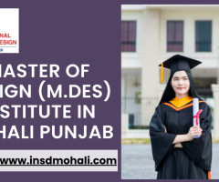 Master of Design institute in mohali punjab