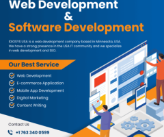 Software Development Consulting | Idiosys USA