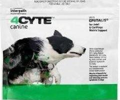 4CYTE Granules - Joint Supplement for Dogs – With Epiitalis
