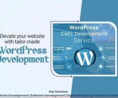 Website development in Patna- Sanity Softwares