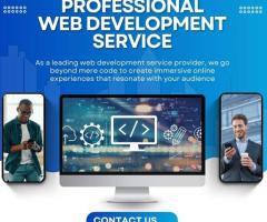 Web Developer Minneapolis | Idiosys USA