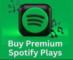Buy Premium Spotify Plays to Elevate Your Tracks