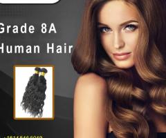 Order Grade 8A Human Hair Online | Chandra Hair