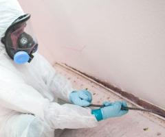 Mold Removal in New Jersey | Expert Mold Removal Services