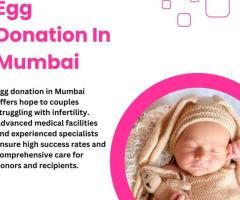 Egg Donation In Mumbai
