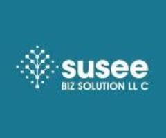 Susee BIZ- Best Digital Transformation Solutions in Connecticut