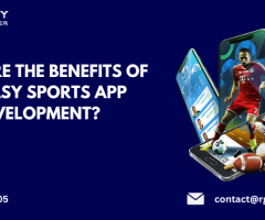 WHAT ARE THE BENEFITS OF FANTASY SPORTS APP DEVELOPMENT?