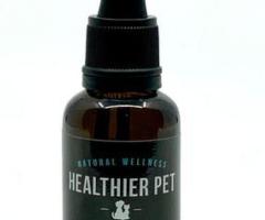 Best cbd oil for dogs with cancer