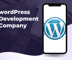 Wordpress web development services in hyderabad