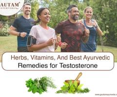 Herbs, Vitamins, and Best Ayurvedic Remedies for Testosterone