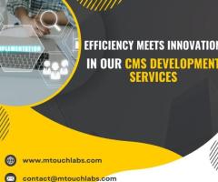 CMS Development Agency in Hyderabad