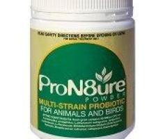 Buy ProN8ure (Protexin) Multi-Strain Probiotic Powder (Green) Online- VetSupply