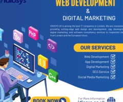 Web Development Company London | Idiosys UK