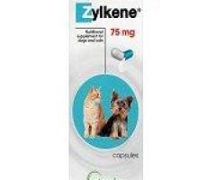 Buy Zylkene Nutritional Supplement For Dogs and Cats Online  - VetSupply