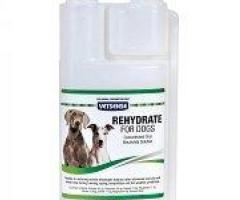 Buy Vetsense Dog/Horse Rehydrate Online  - VetSupply