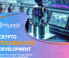 Get Your Crypto Trading Bot Development Services From Hivelance