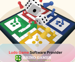 Top-Rated Ludo Game Software Provider for a Superior Gaming Experience