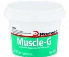 Buy Ranvet Muscle G For Greyhounds Online