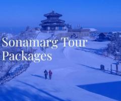 sonmarg tour packages
