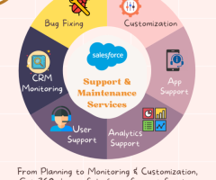 Top-notch Salesforce Support Services by FEXLE